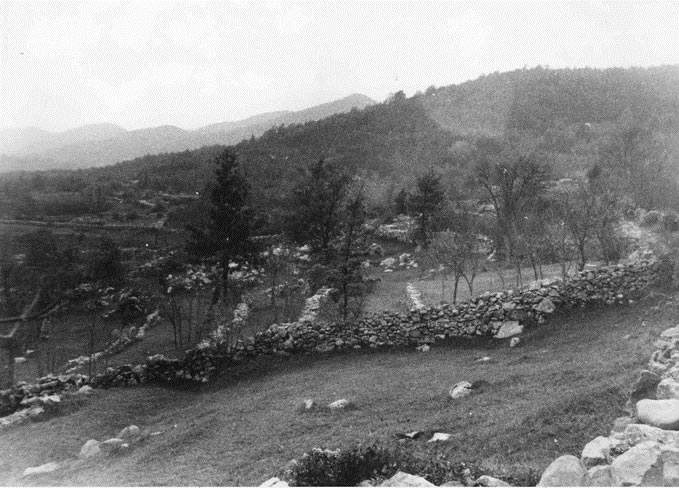 krajolik Velog Brguda